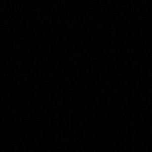 Meet your Posher, Brandi